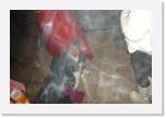 DSC04189 * 2304 x 1536 * (1.51MB)